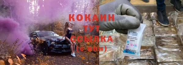 кристаллы Инта