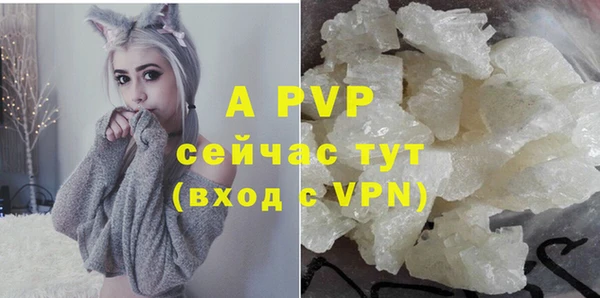 стафф Абаза