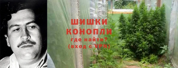 амф Ельня