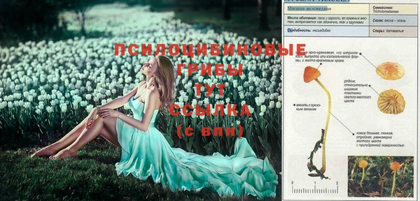 кокаин Абинск