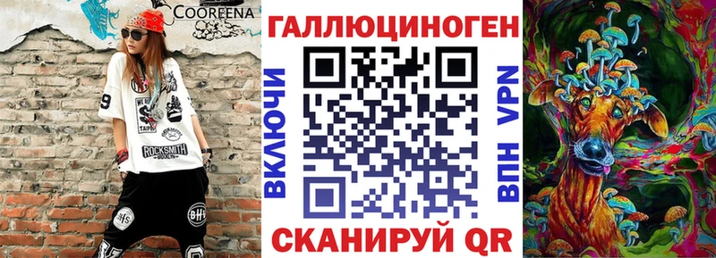 kraken зеркало  сколько стоит  Энем  Псилоцибиновые грибы Cubensis 